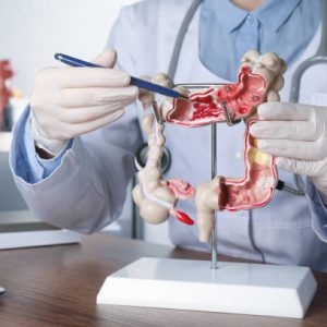 Endocrine